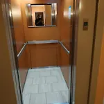 Pleinitude Palais Des Congres