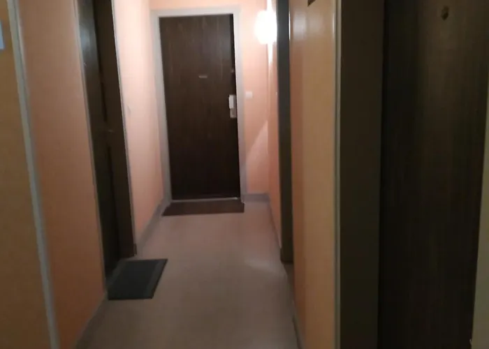 Pleinitude Palais Des Congres 公寓 *